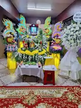 Hình ảnh thực tế