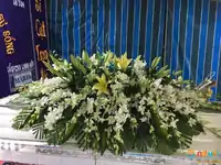 Hình ảnh thực tế