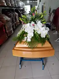 Hình ảnh thực tế