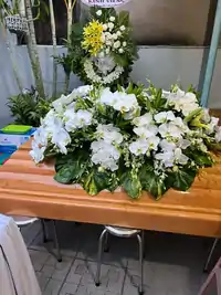 Hình ảnh thực tế