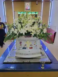 Hình ảnh thực tế