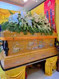 Hình ảnh thực tế