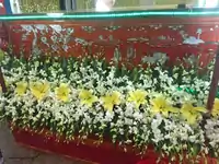 Hình ảnh thực tế