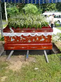 Hình ảnh thực tế