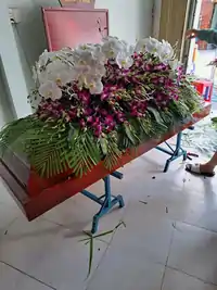 Hình ảnh thực tế