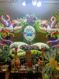 Hình ảnh thực tế