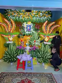 Hình ảnh thực tế