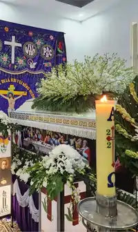 Hình ảnh thực tế