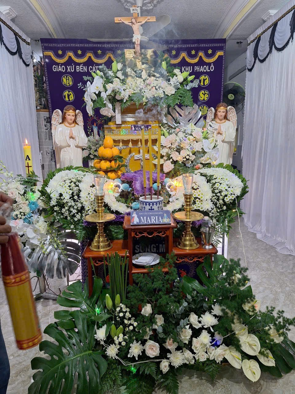 Hình ảnh thực tế