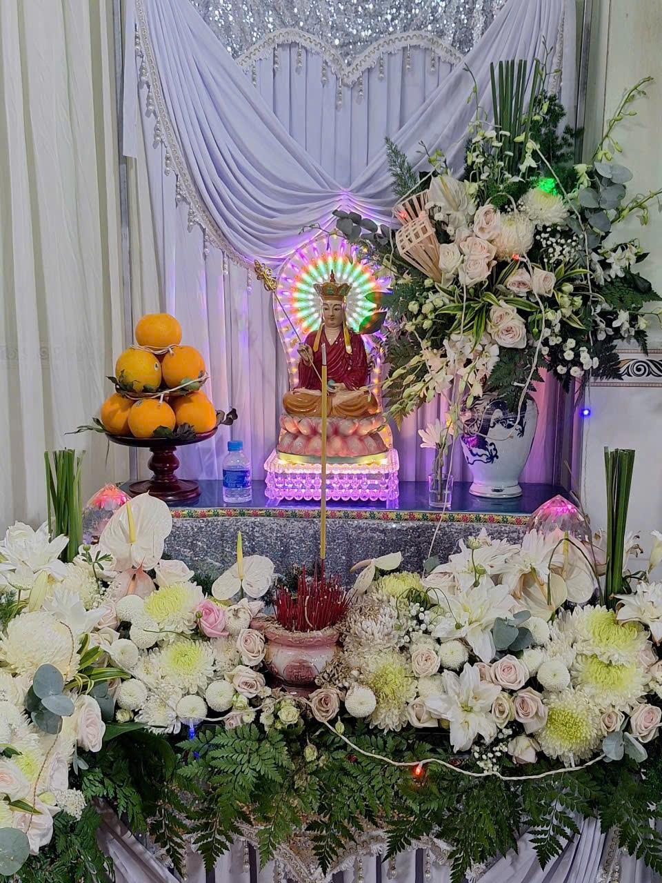 Hình ảnh thực tế