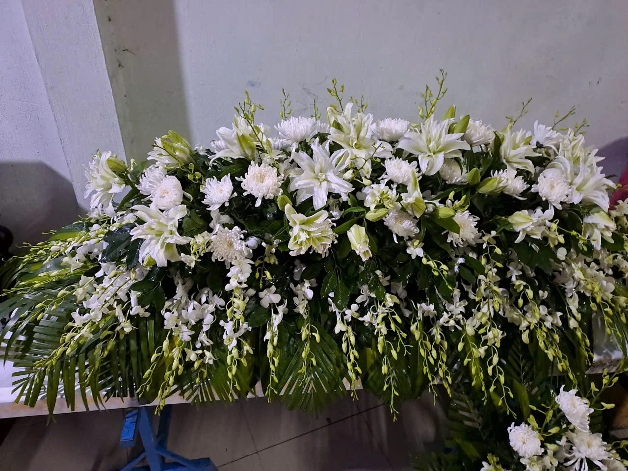 Hình ảnh thực tế