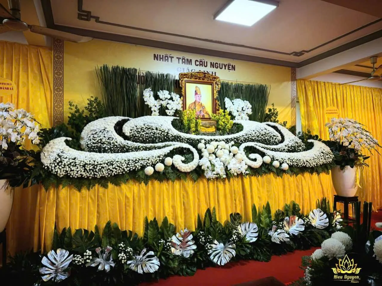 Hình ảnh thực tế