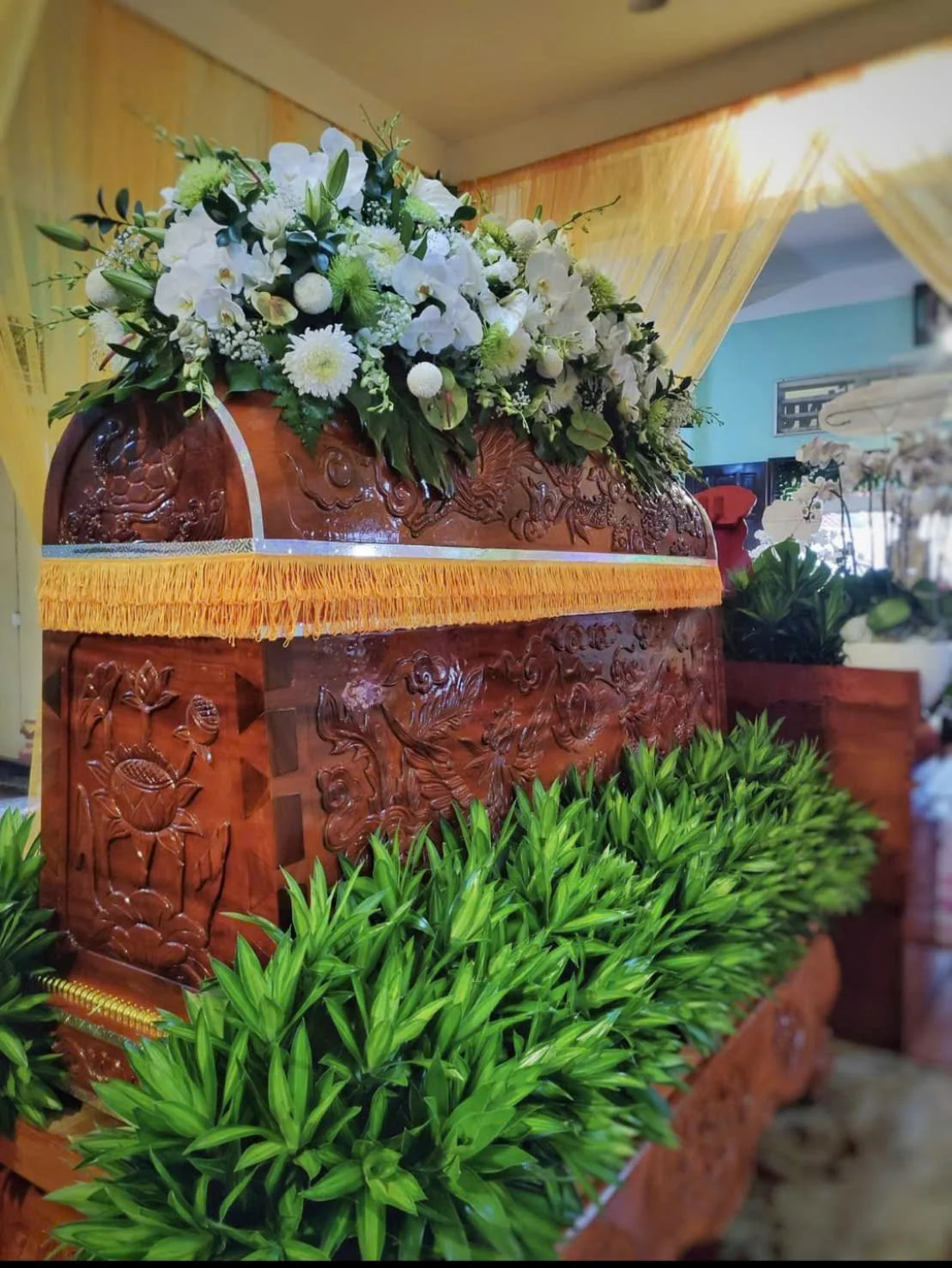 Hình ảnh thực tế