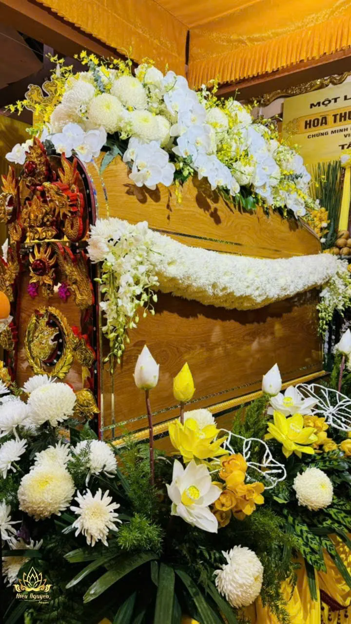 Hình ảnh thực tế