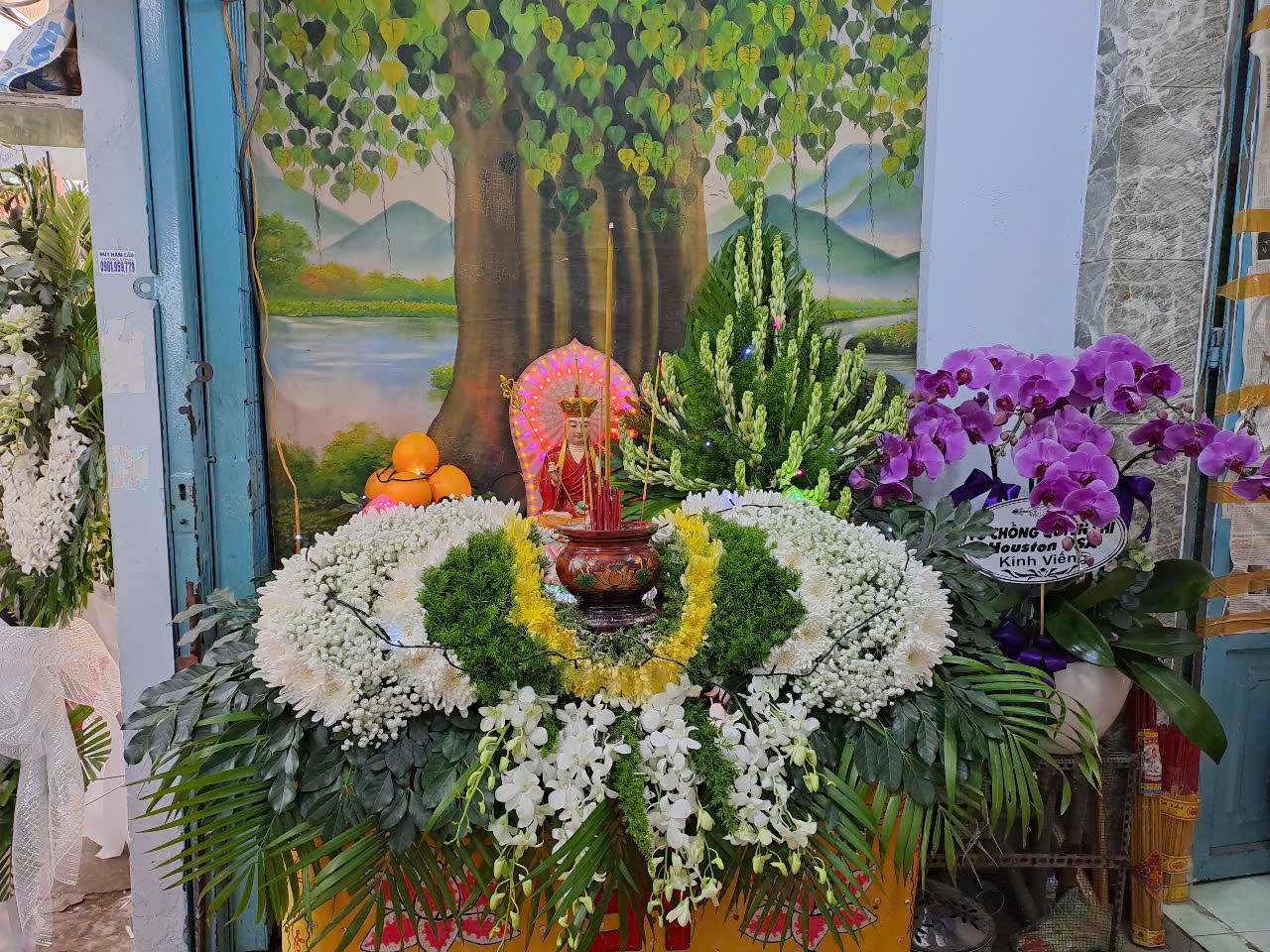 Hình ảnh thực tế