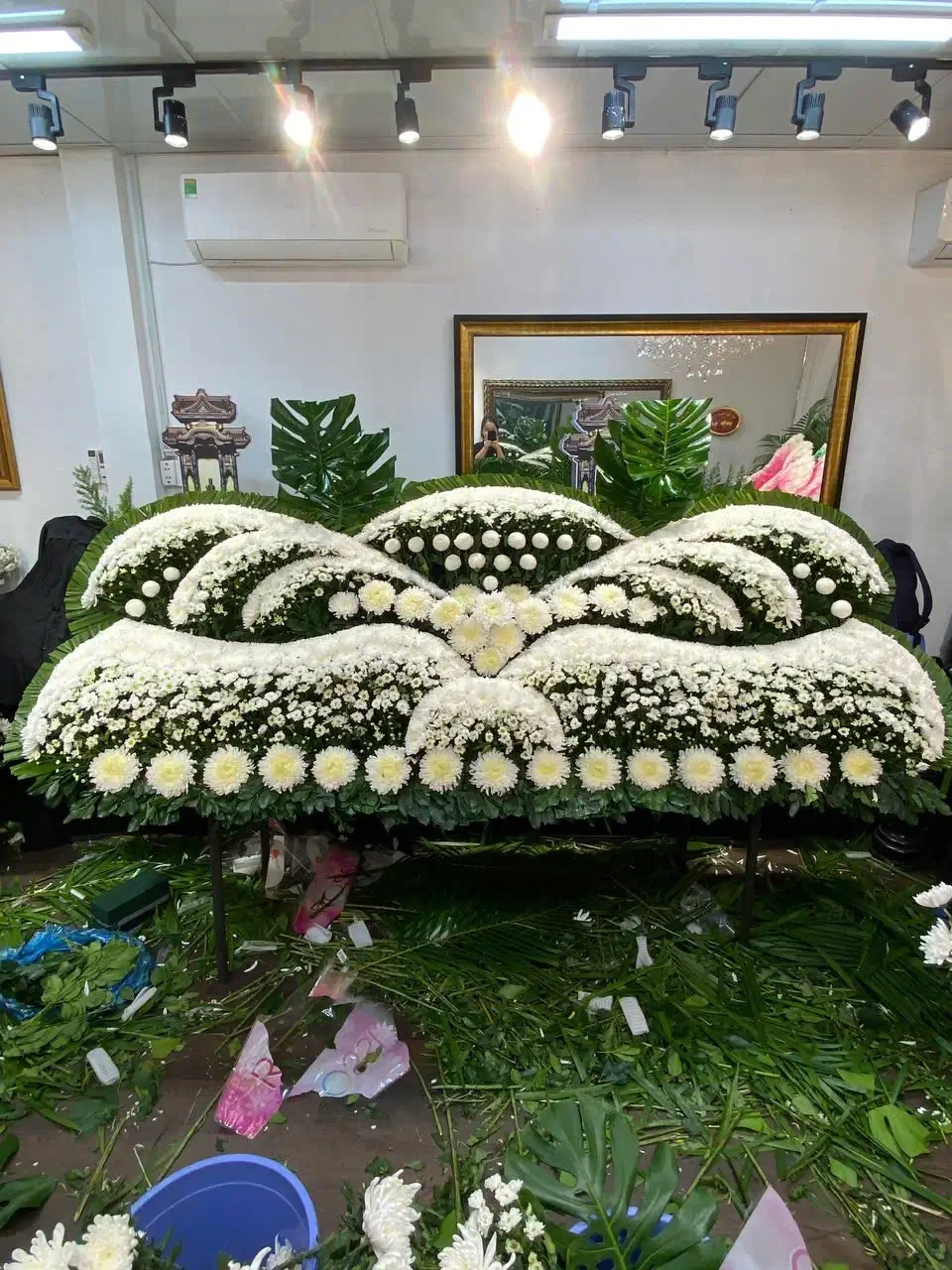 Hình ảnh thực tế