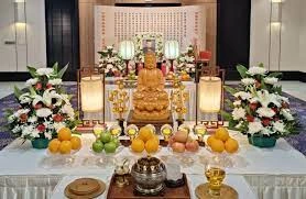 Hình ảnh thực tế